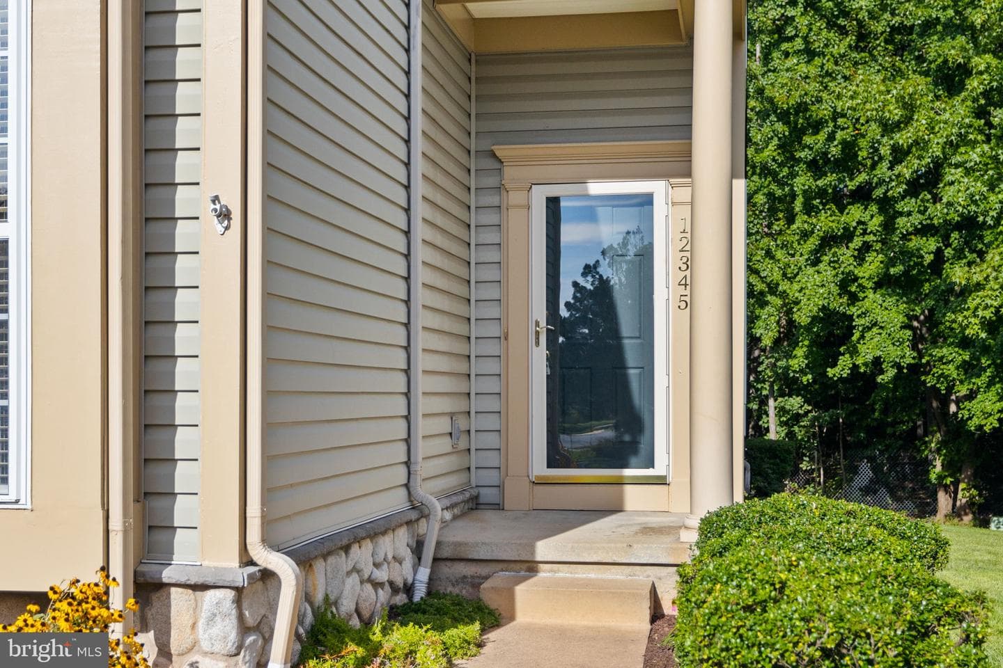 12345 Brown Fox Way photo 4