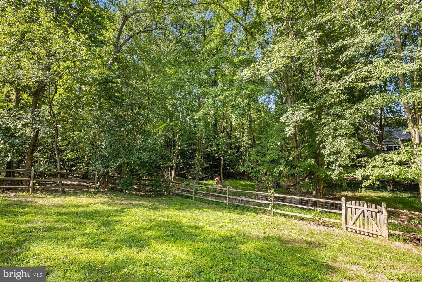 11482 Bingham Terrace photo 53