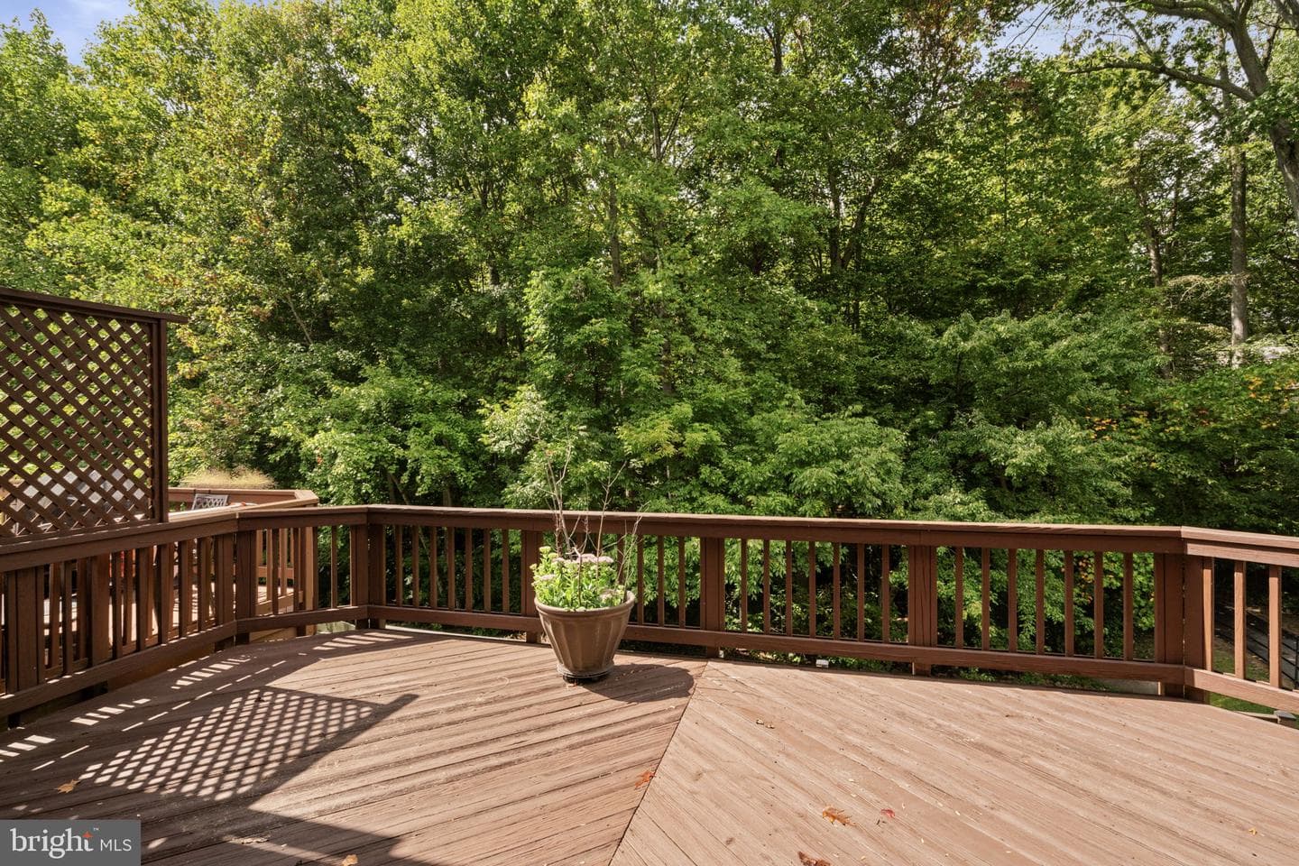 9103 Golden Sunset Lane photo 19