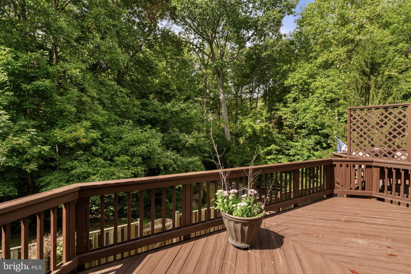 9103 Golden Sunset Lane photo 20