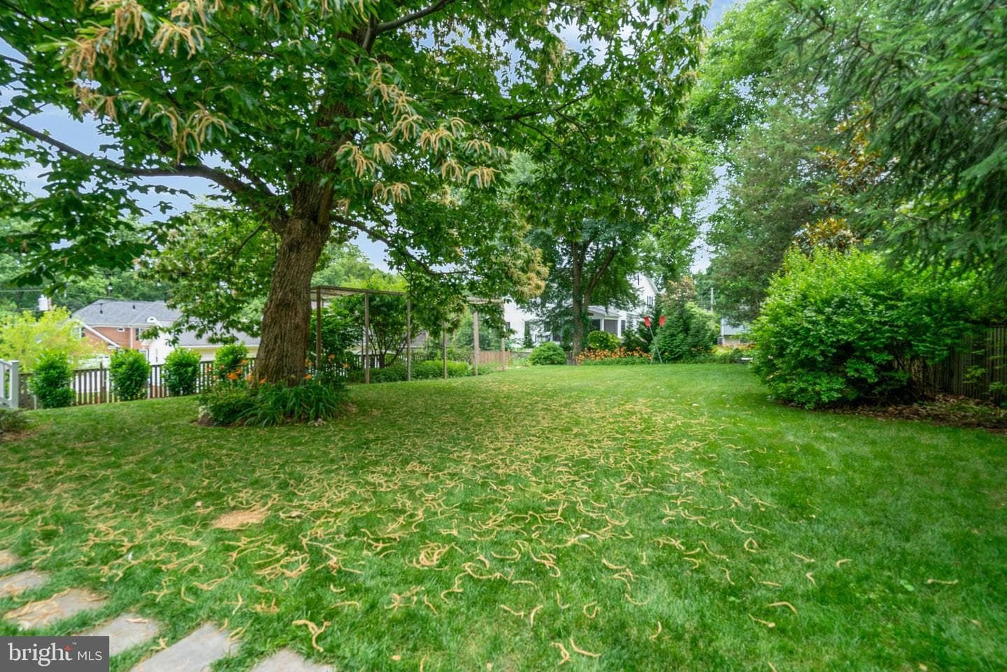 6603 Rockmont Court photo 58