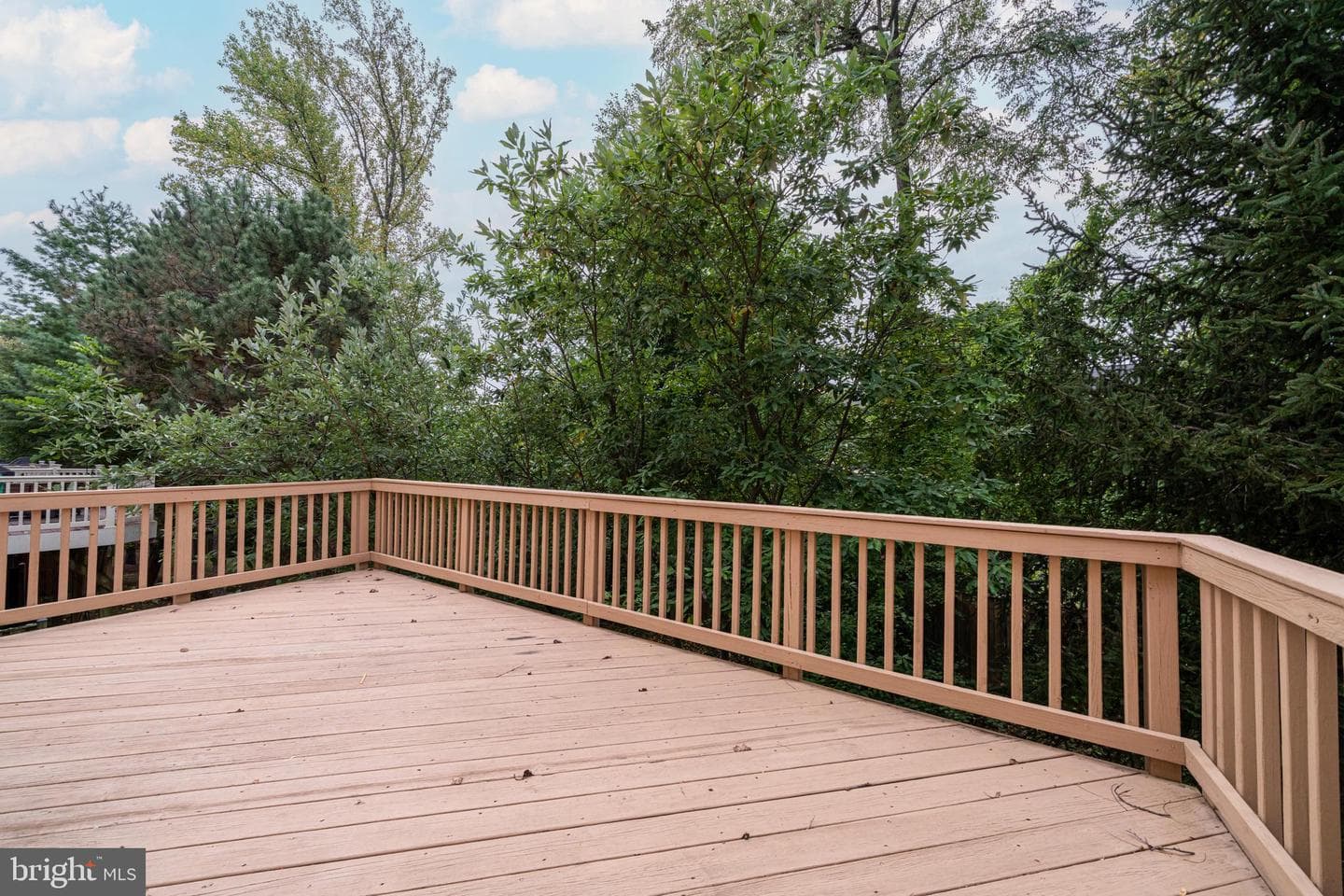 4522 English Holly Drive photo 35