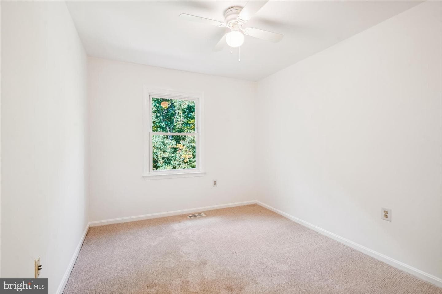 14516 Creek Branch Court photo 17