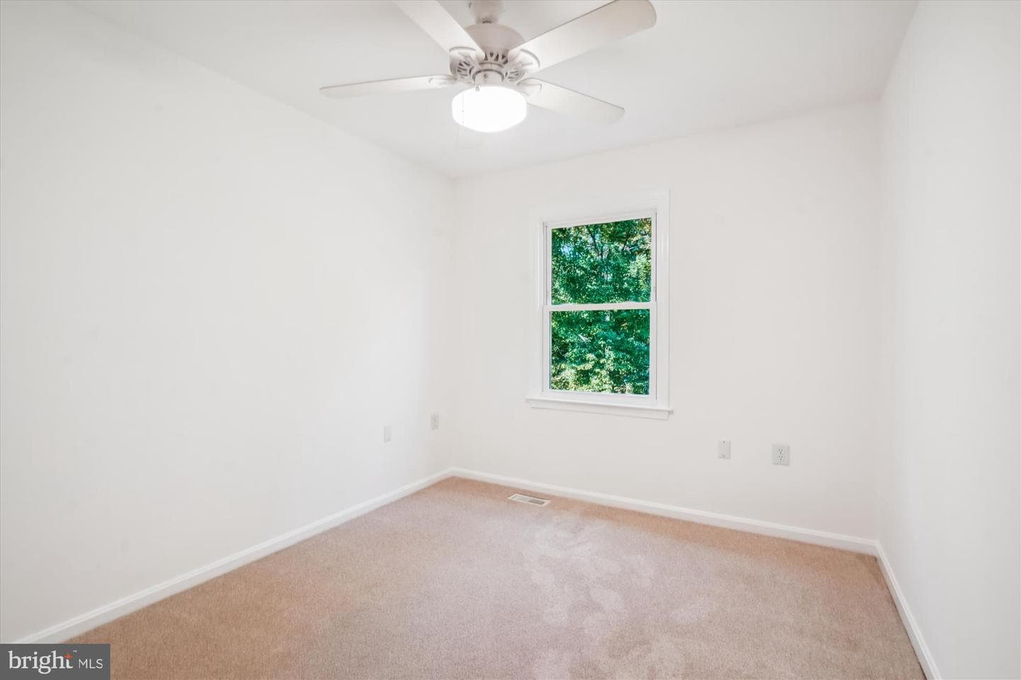 14516 Creek Branch Court photo 19