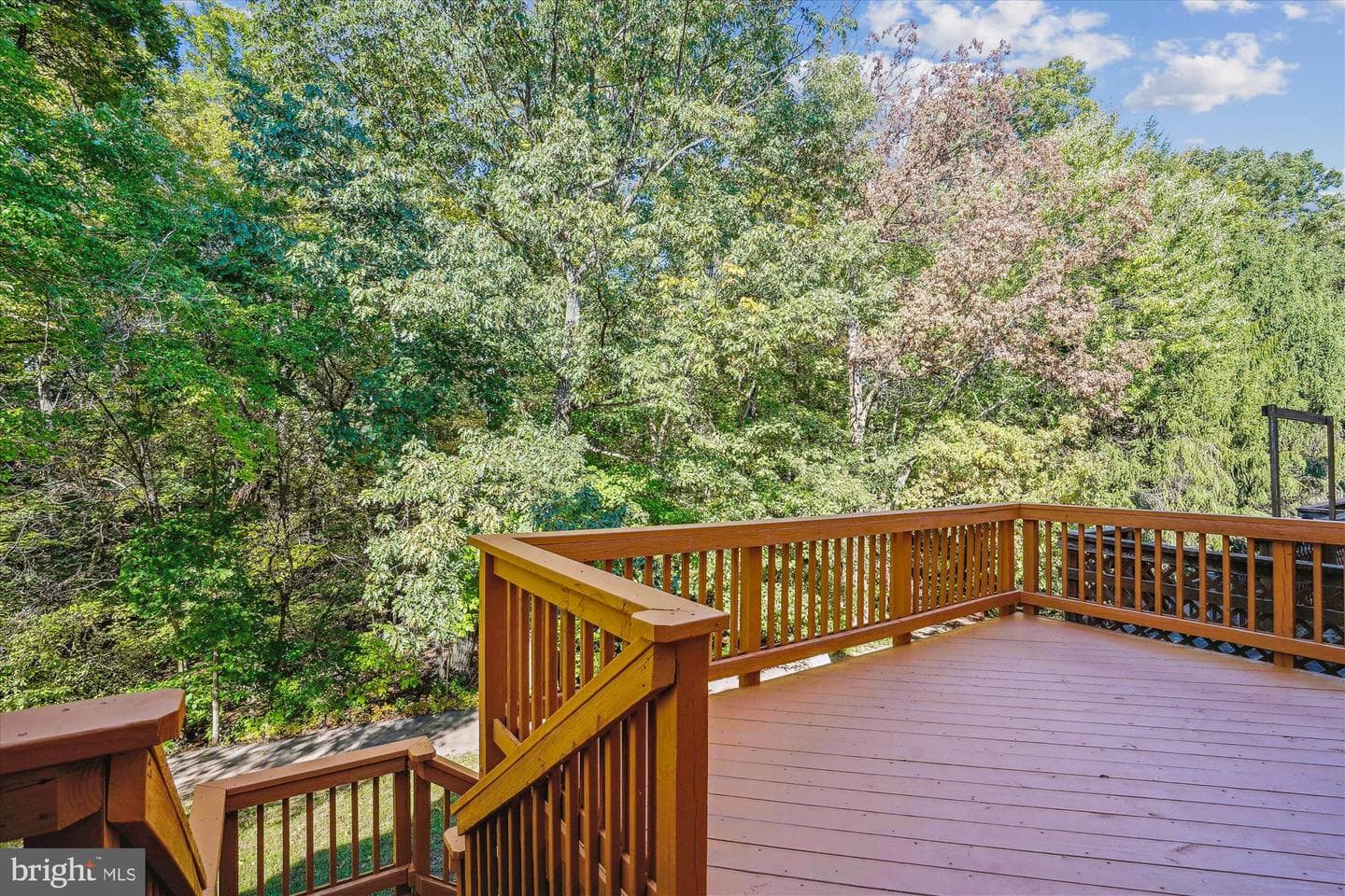 14516 Creek Branch Court photo 25