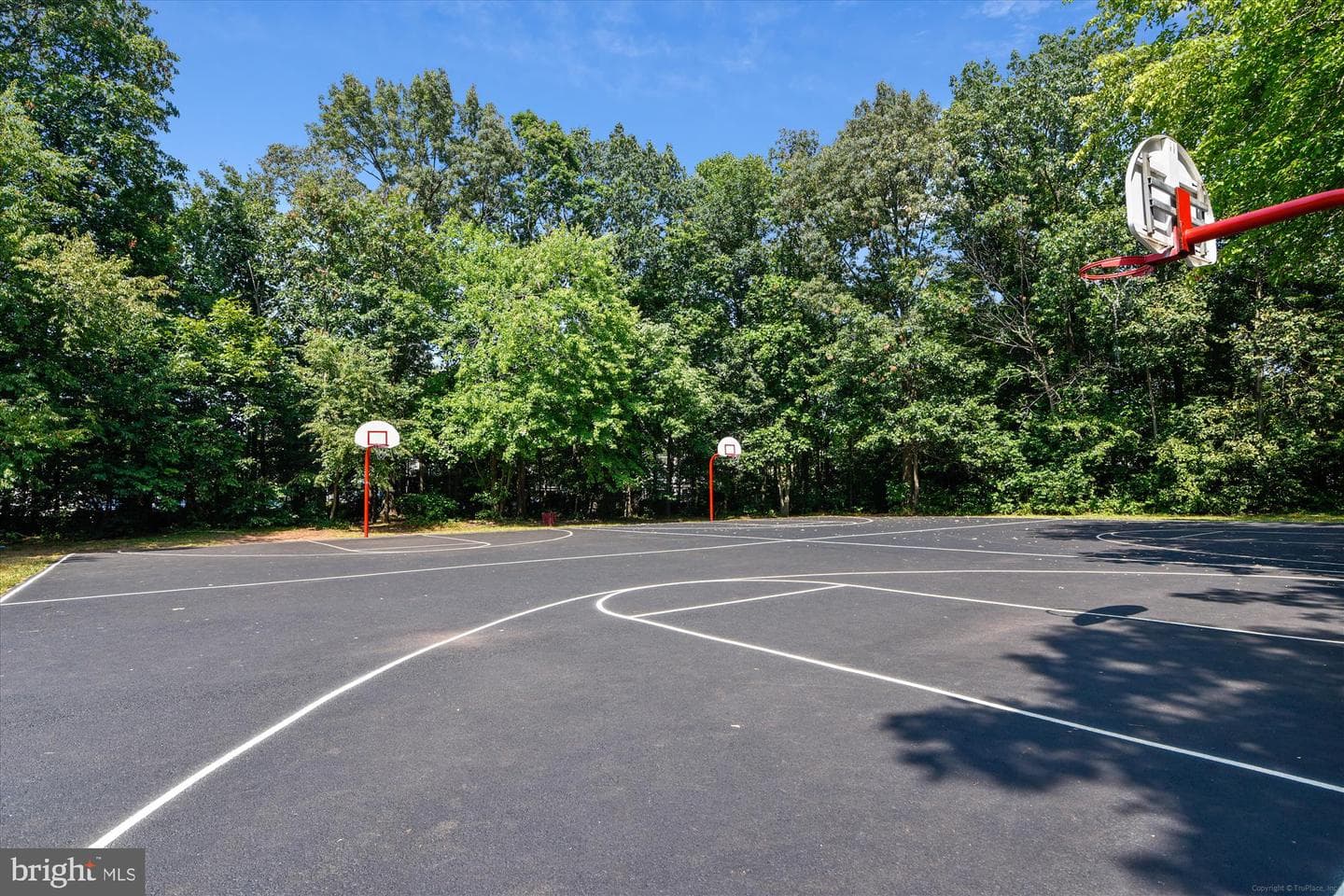 14516 Creek Branch Court photo 32