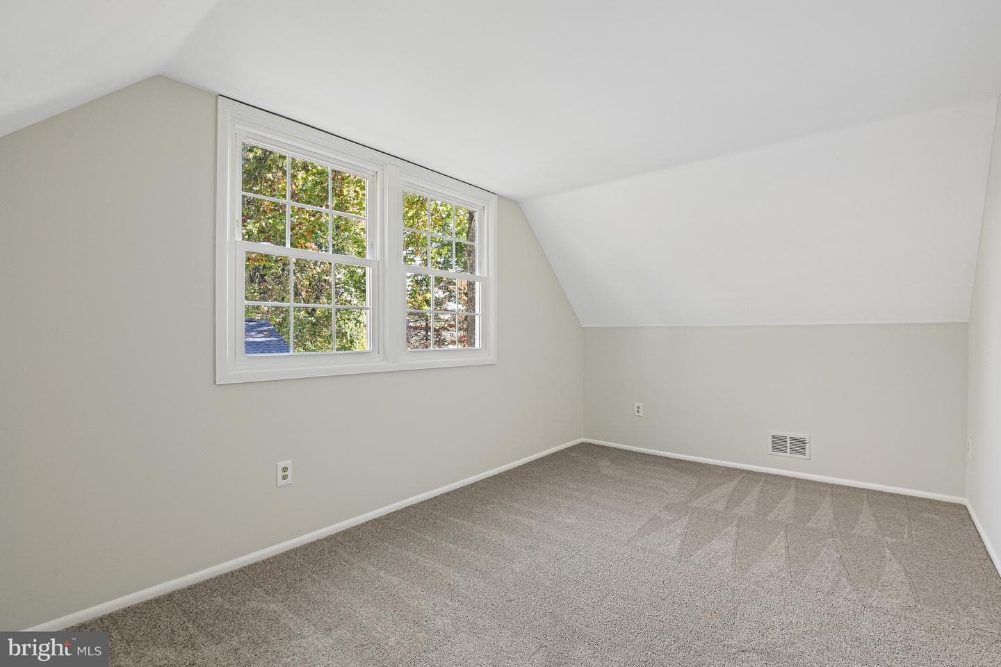 13303 Poplar Tree photo 33