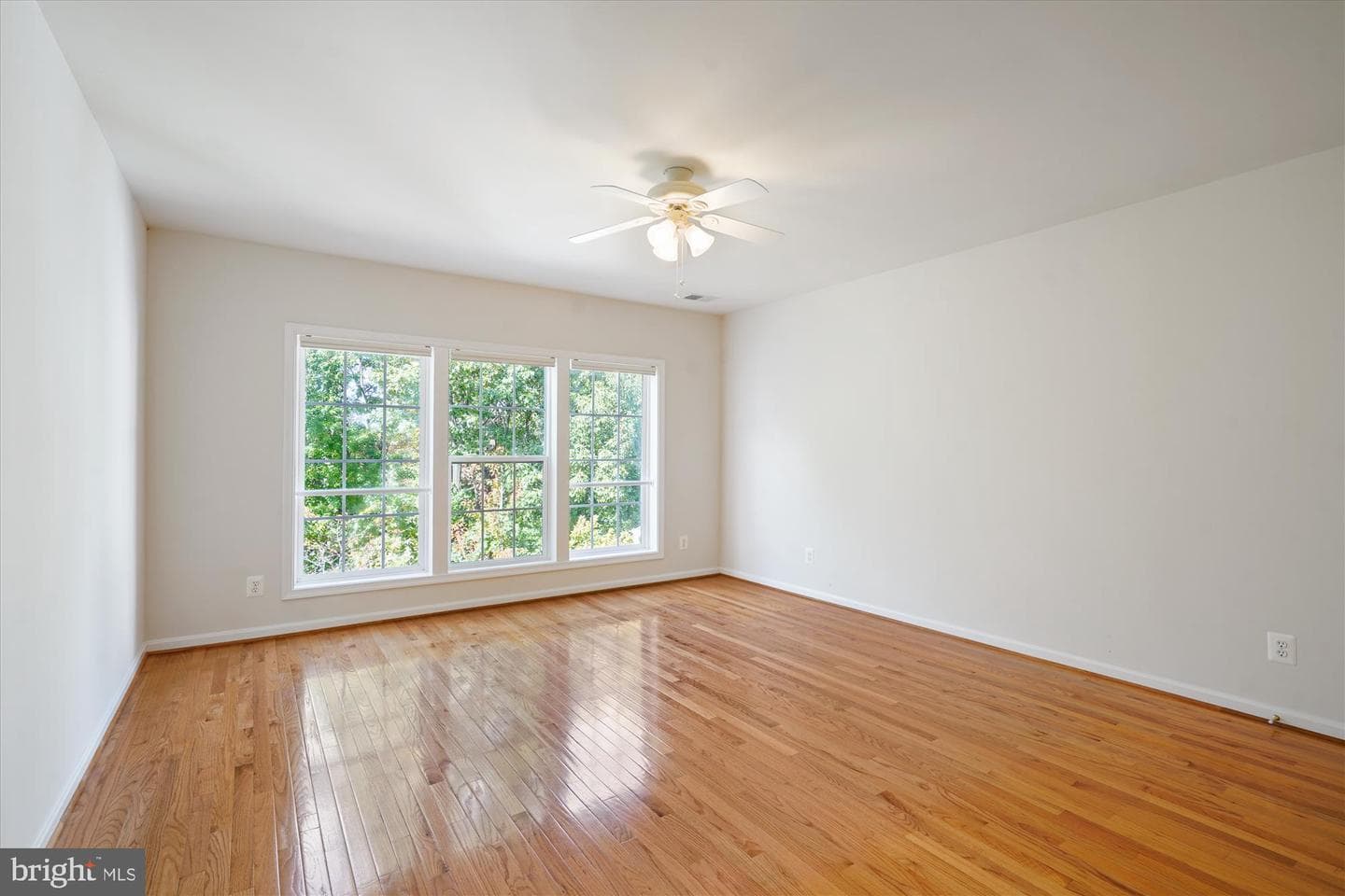 12342 Brown Fox Way photo 22