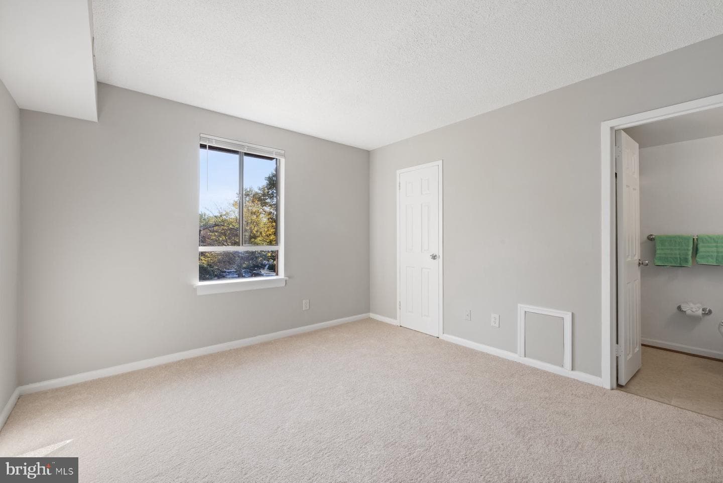2233 Castle Rock Square #11c photo 18