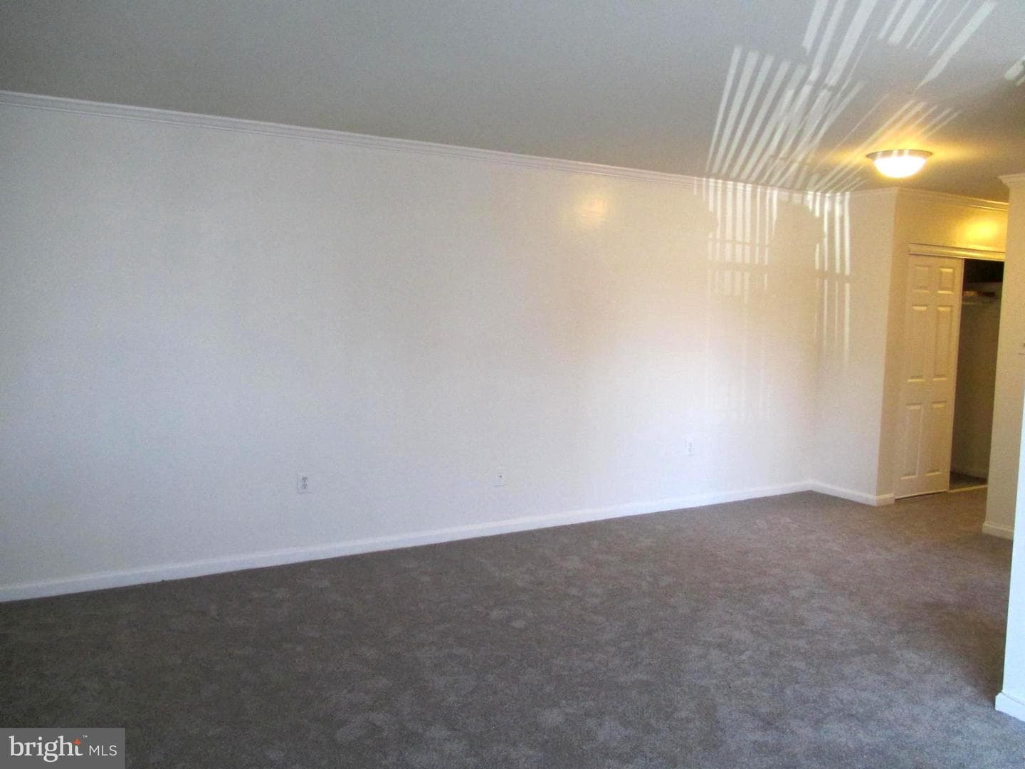 5603 Franconia Road #202 photo 8