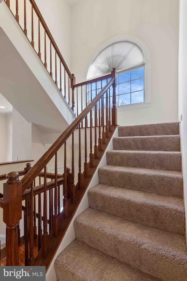 6217 Clara Edward Terrace photo 22