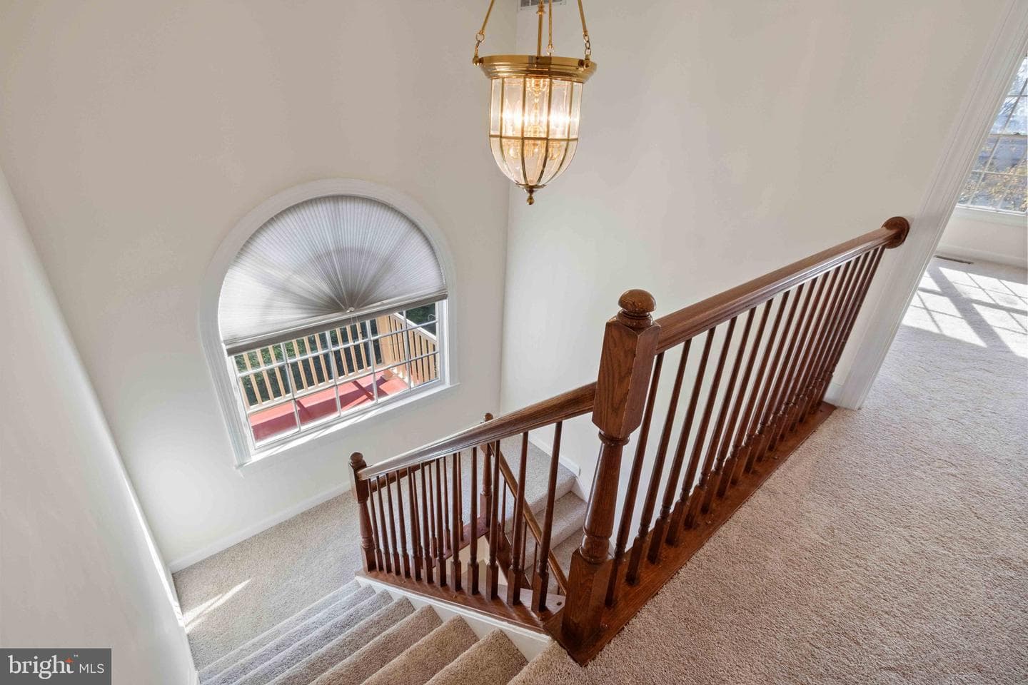 6217 Clara Edward Terrace photo 23