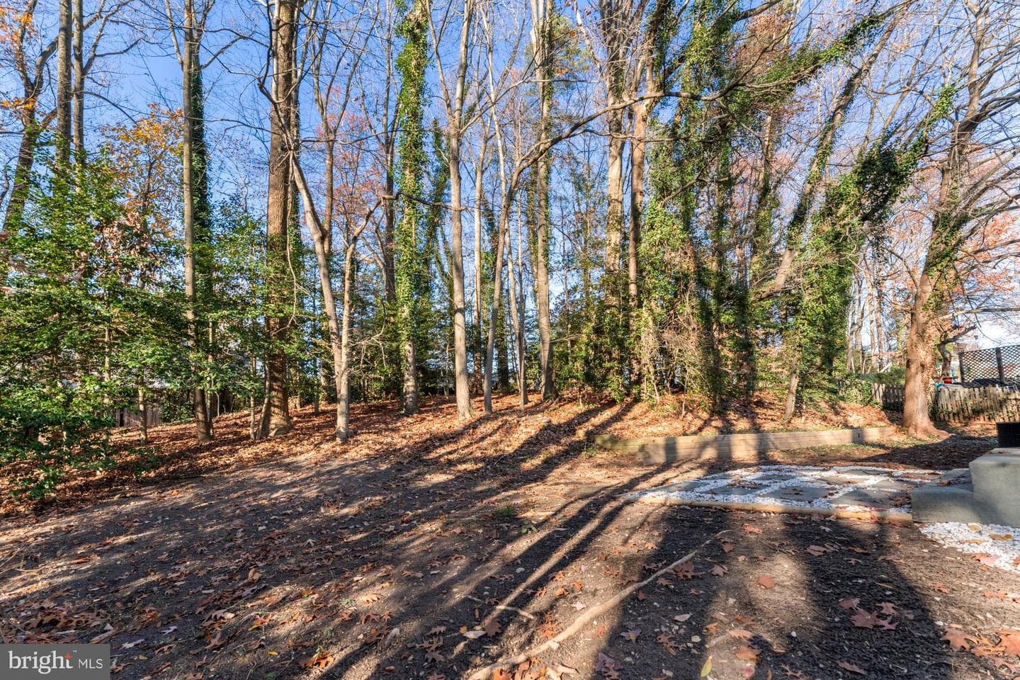 8018 Lake Pleasant Drive photo 58