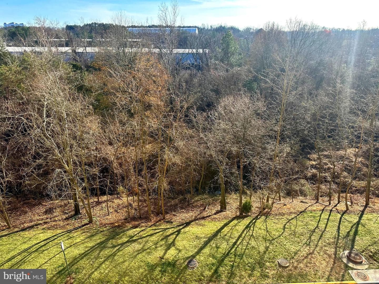 6301 Edsall Road #309 photo 21
