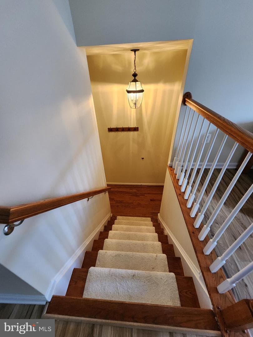 4522 English Holly Drive photo 28