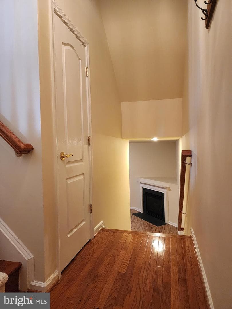 4522 English Holly Drive photo 29