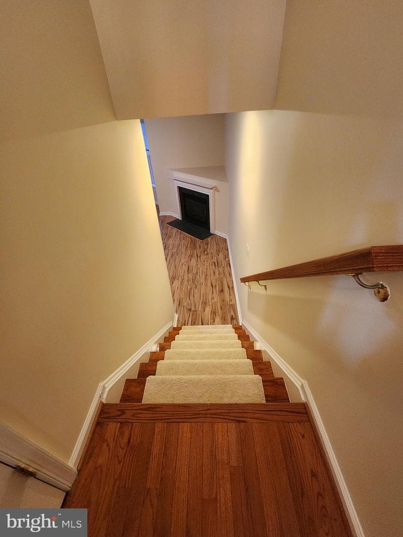 4522 English Holly Drive photo 30