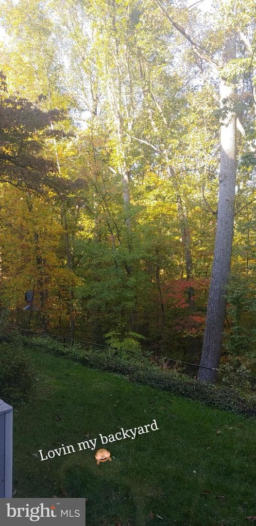 11560 Rolling Green Court #100 photo 37