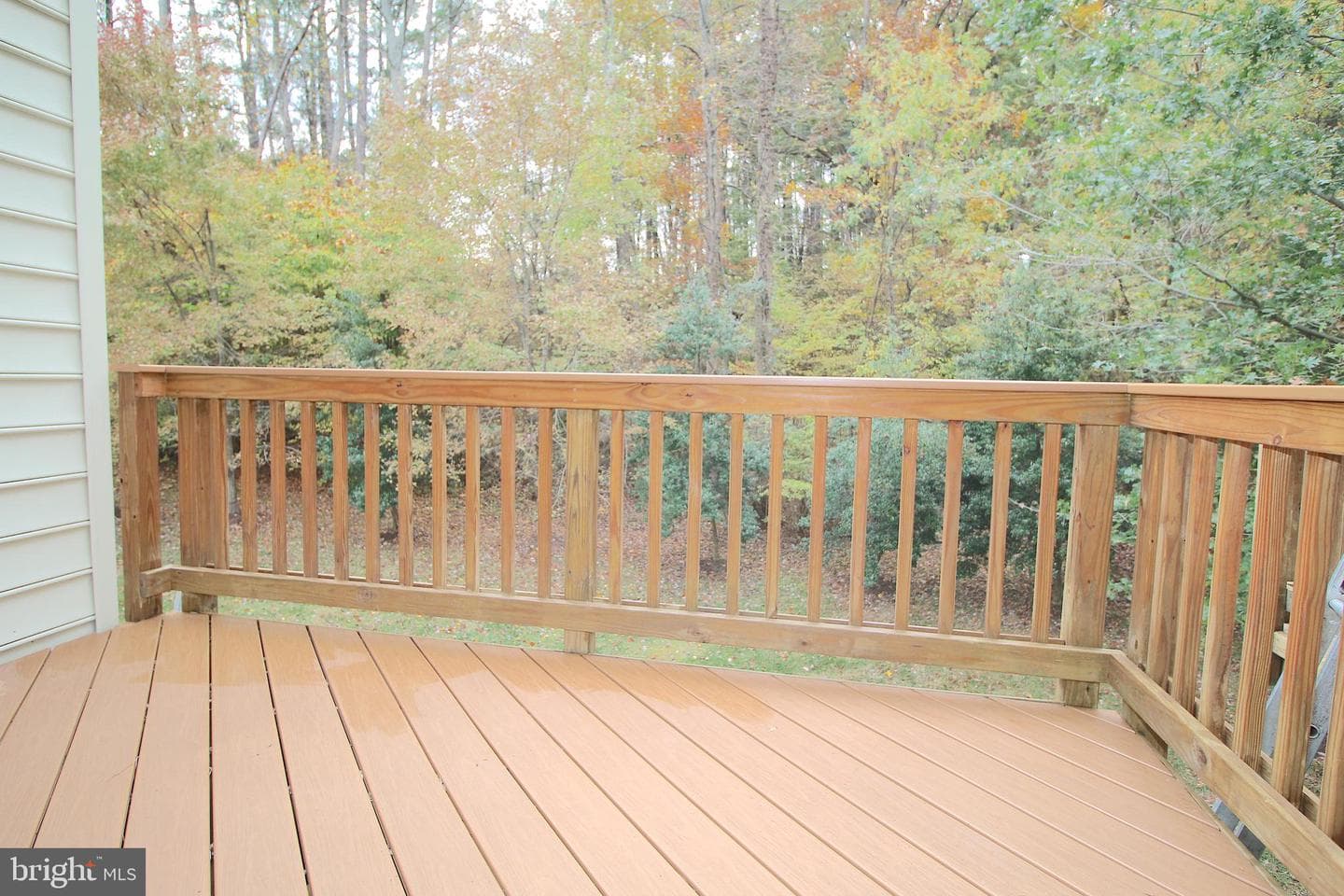 9416 Lakeland Fells Lane photo 41