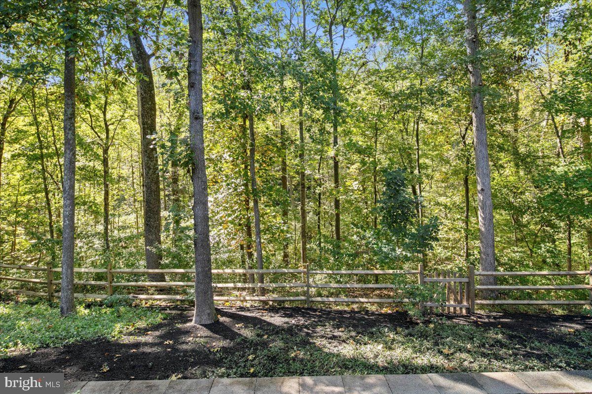 8218 Rushing Creek Drive photo 75