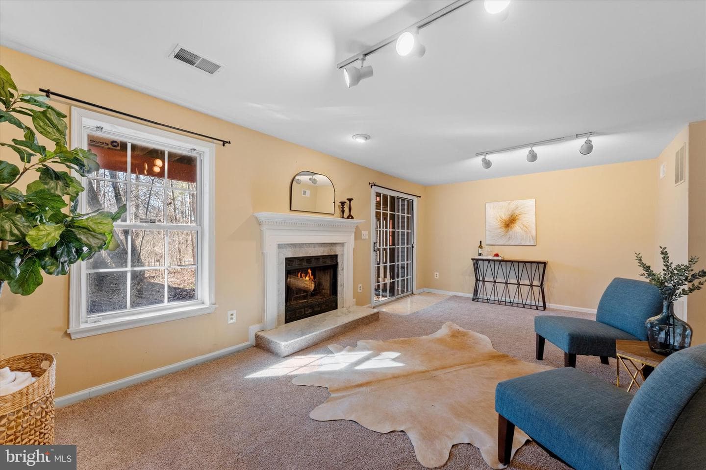 13146 Ashnut Lane photo 37