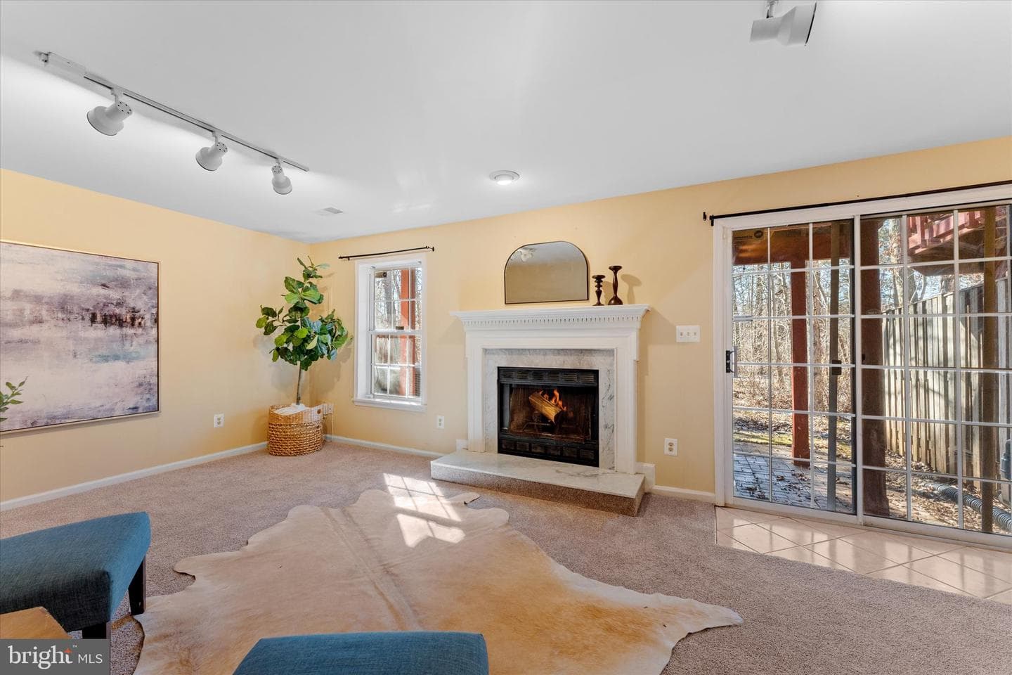 13146 Ashnut Lane photo 38