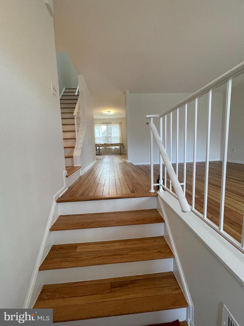 12206 Apple Orchard Court photo 4