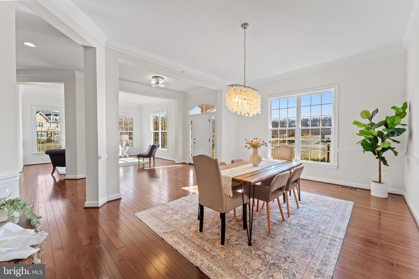 10259 Forest Lake Drive photo 14