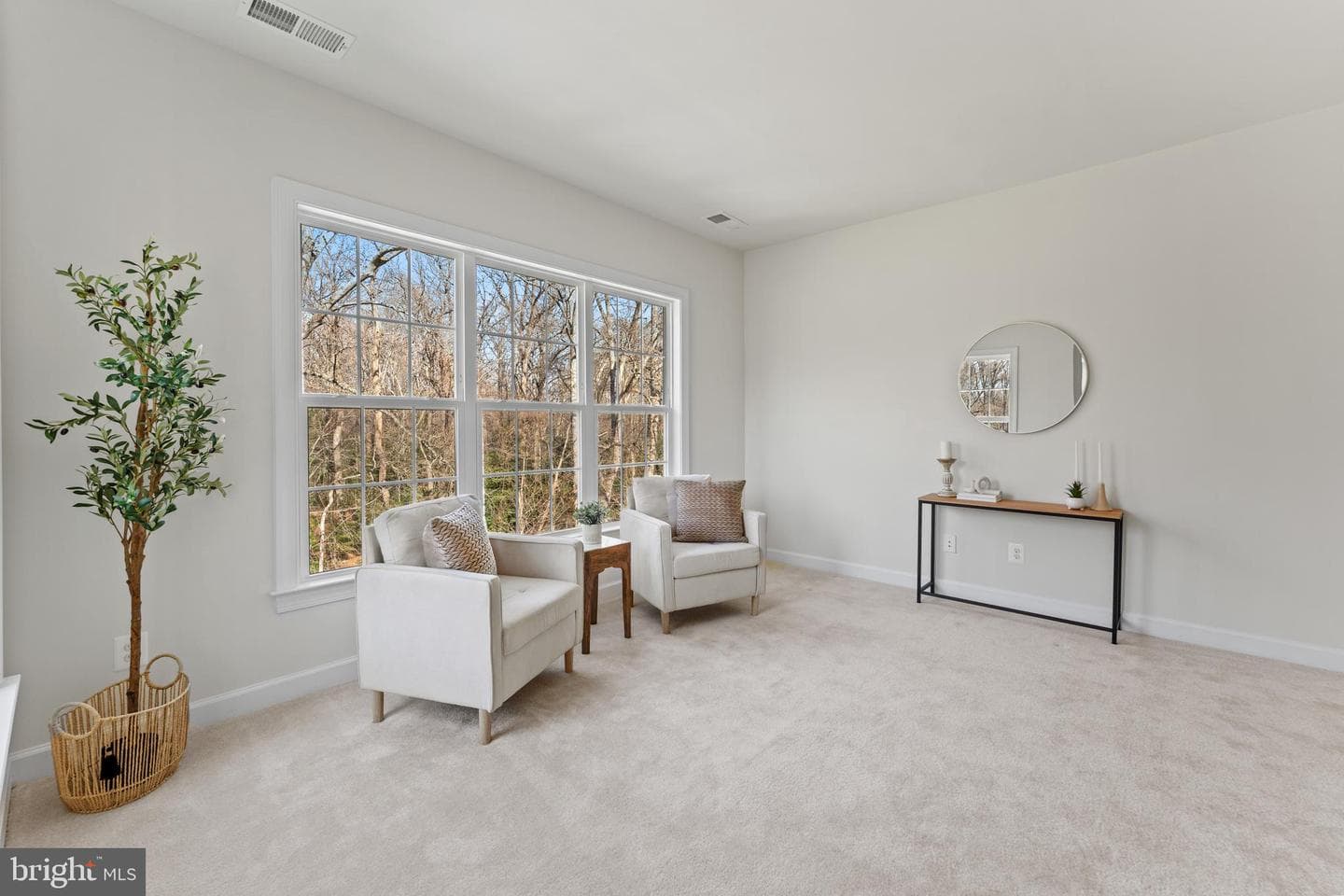 10259 Forest Lake Drive photo 42