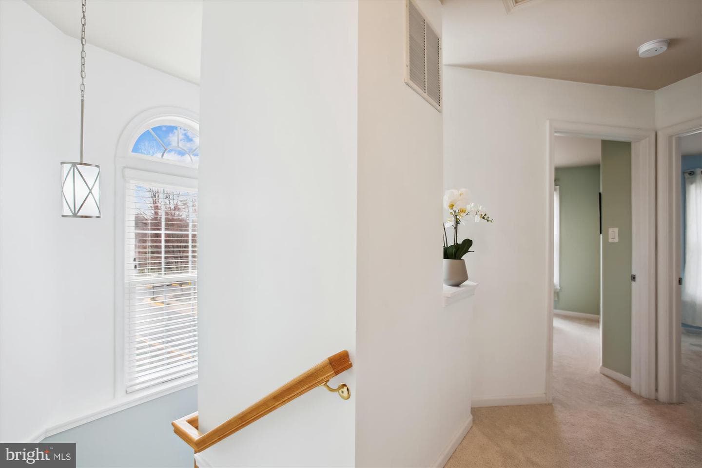 3765 Shannons Green Way photo 30