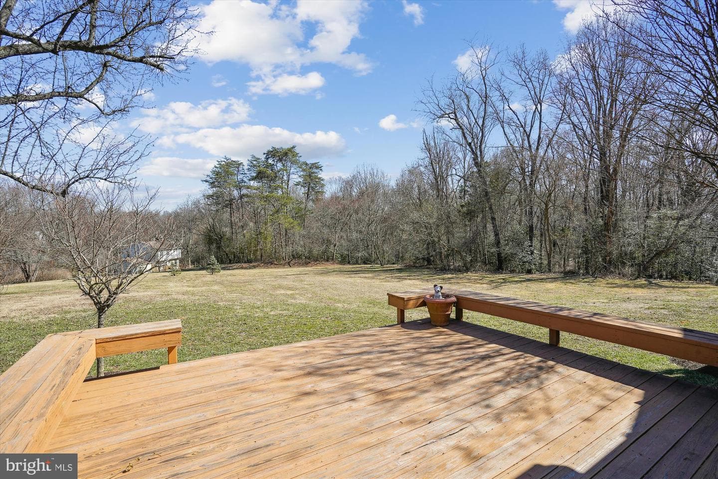 10525 Brevity Drive photo 19