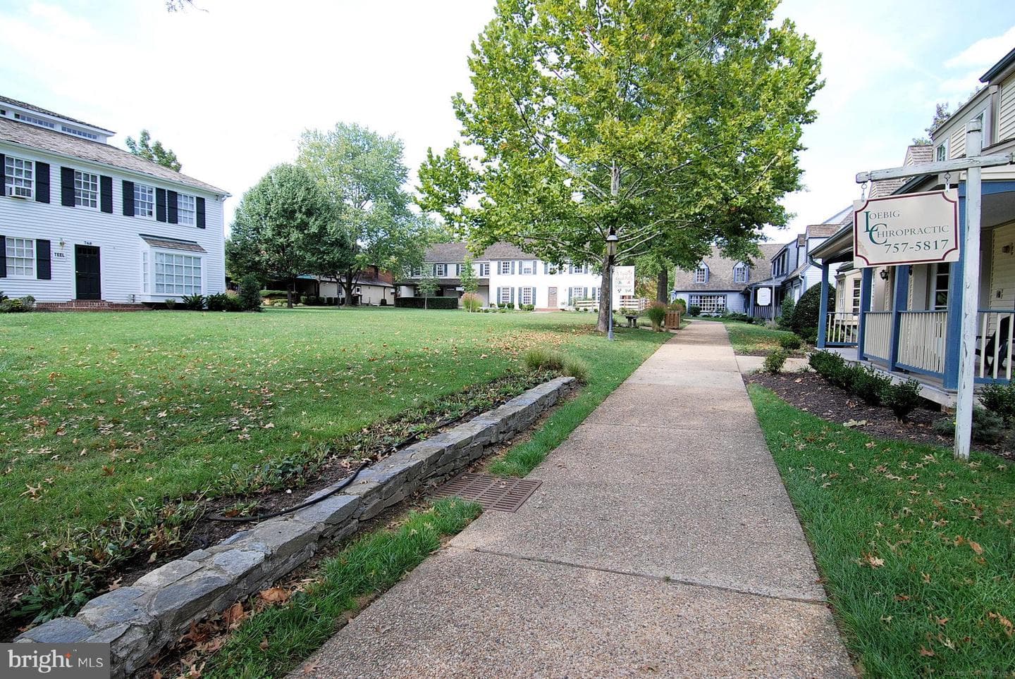 10525 Brevity Drive photo 54
