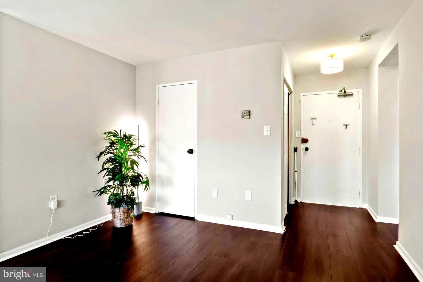 6631 Wakefield Drive #506a photo 20