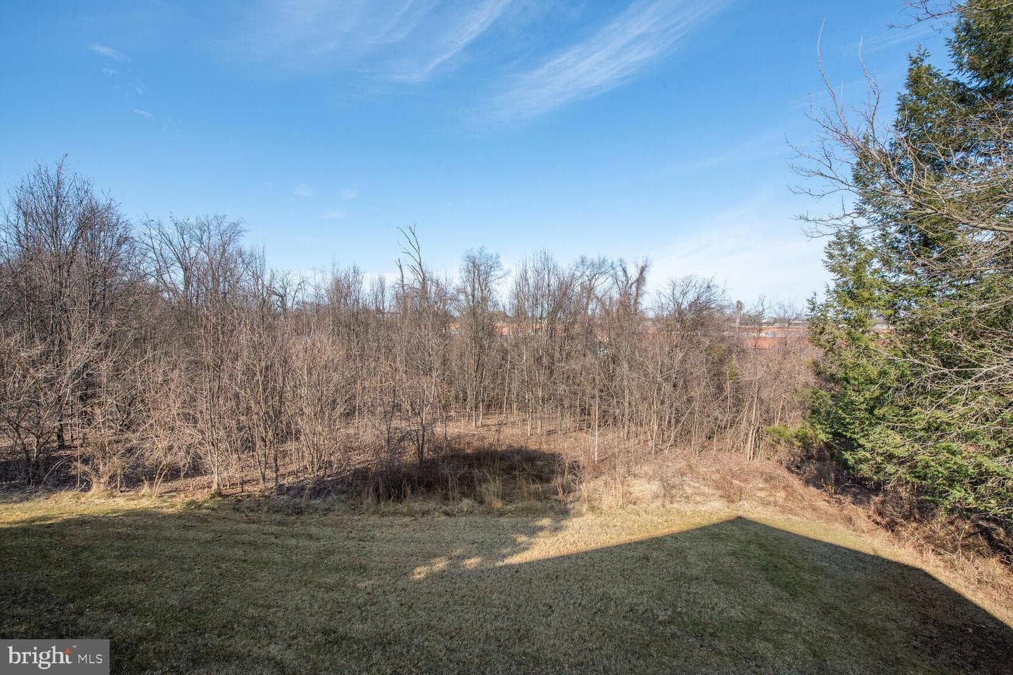 4303 Silas Hutchinson Drive photo 20