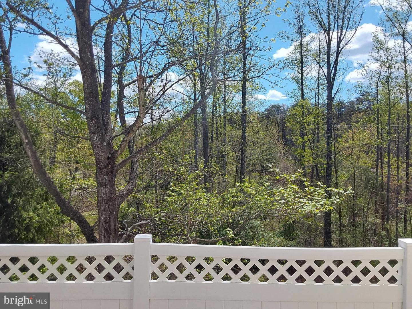6985 Forepond Court photo 49