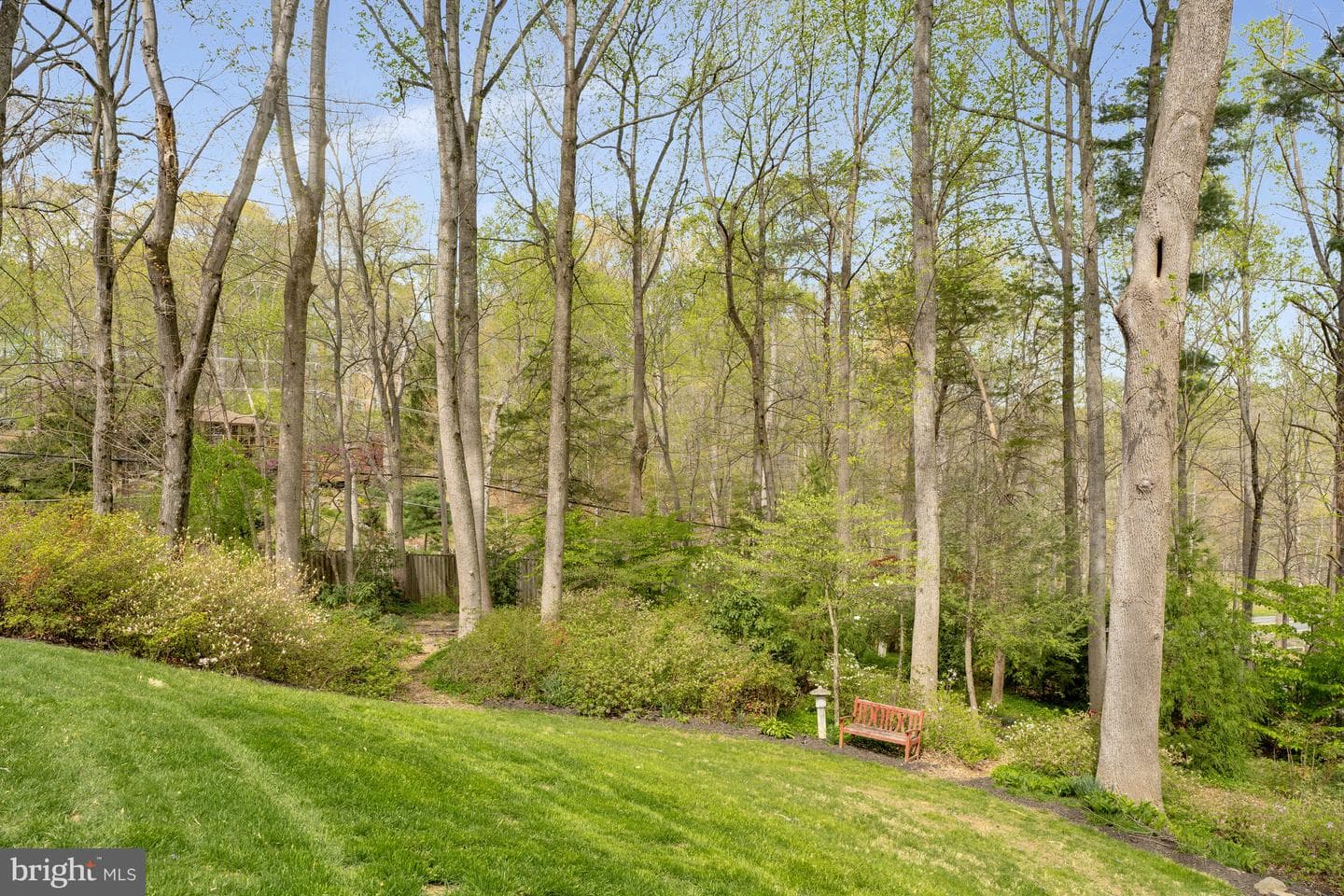 10226 Cedar Pond Drive photo 67