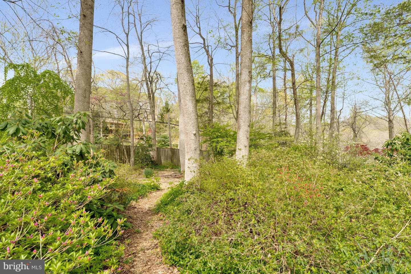 10226 Cedar Pond Drive photo 69