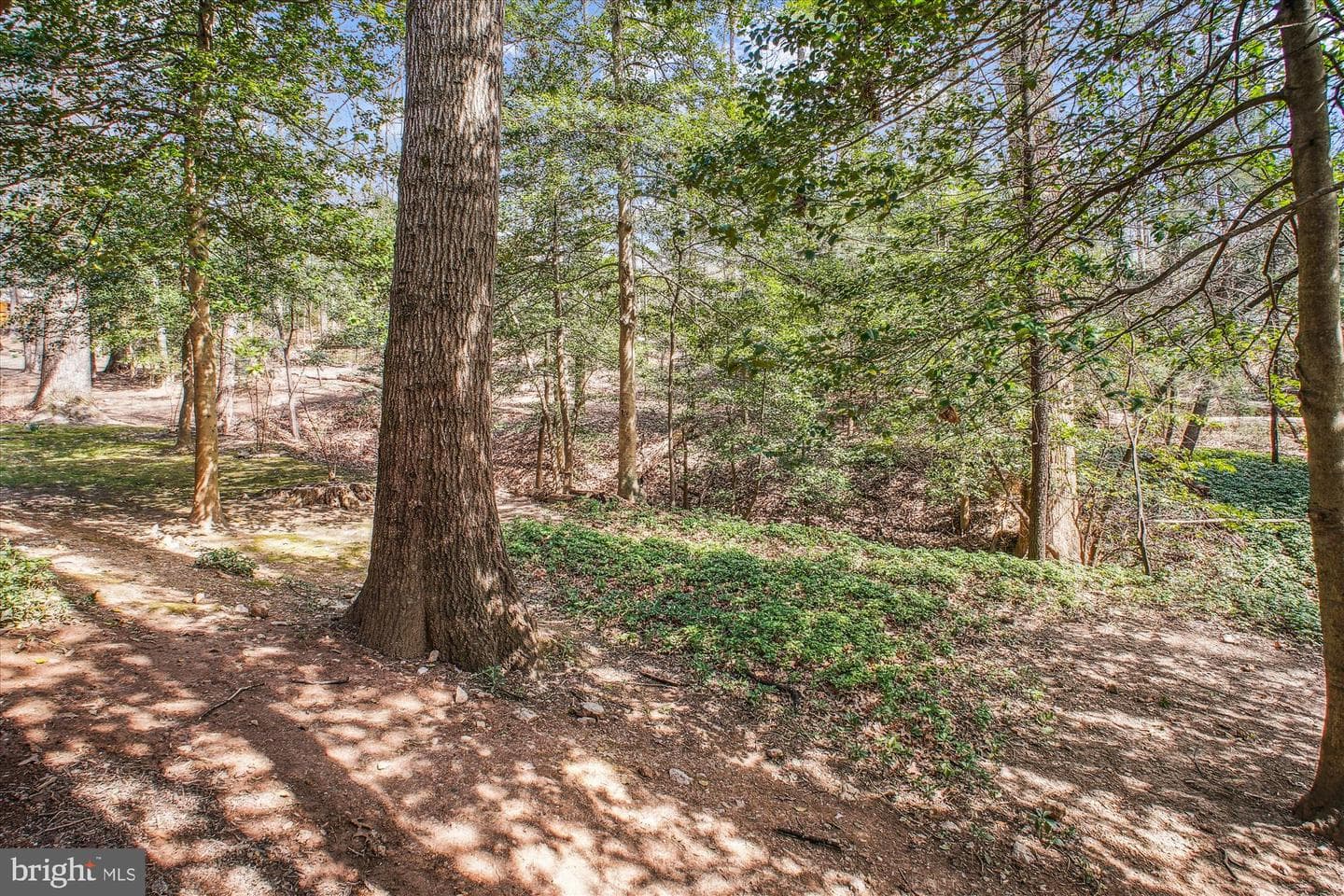 2105 Lirio Court photo 46