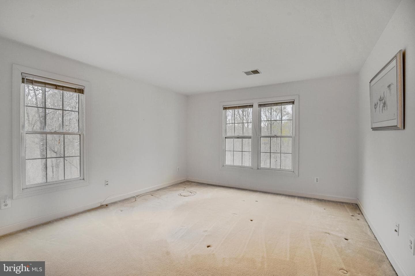 8404 Cardinal Rose Court photo 31