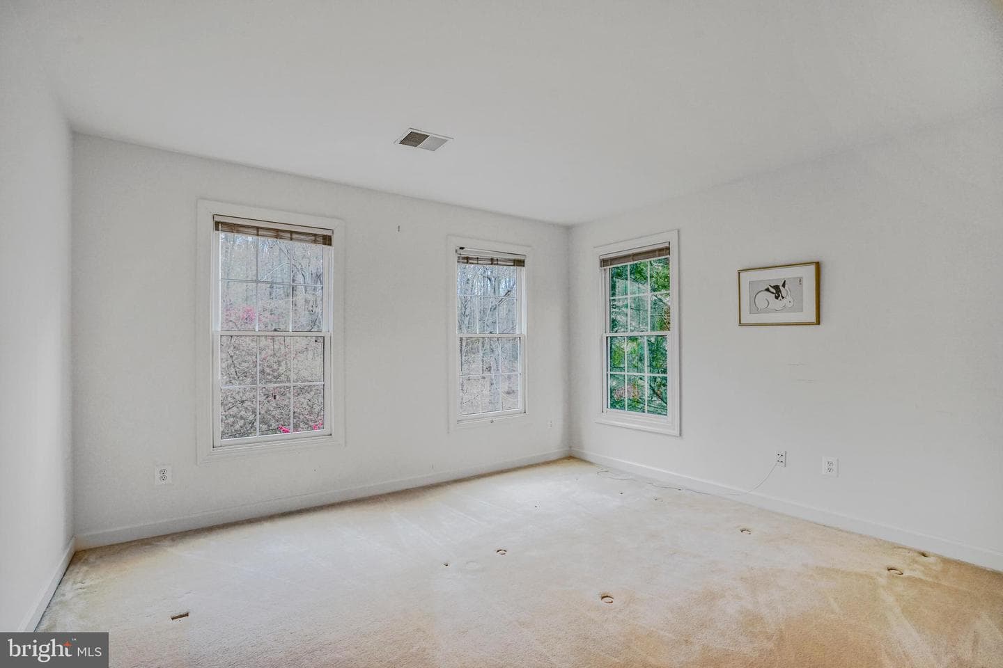 8404 Cardinal Rose Court photo 32