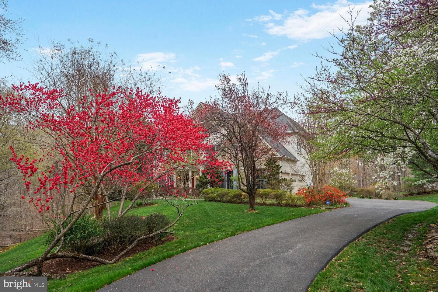 8404 Cardinal Rose Court photo 4