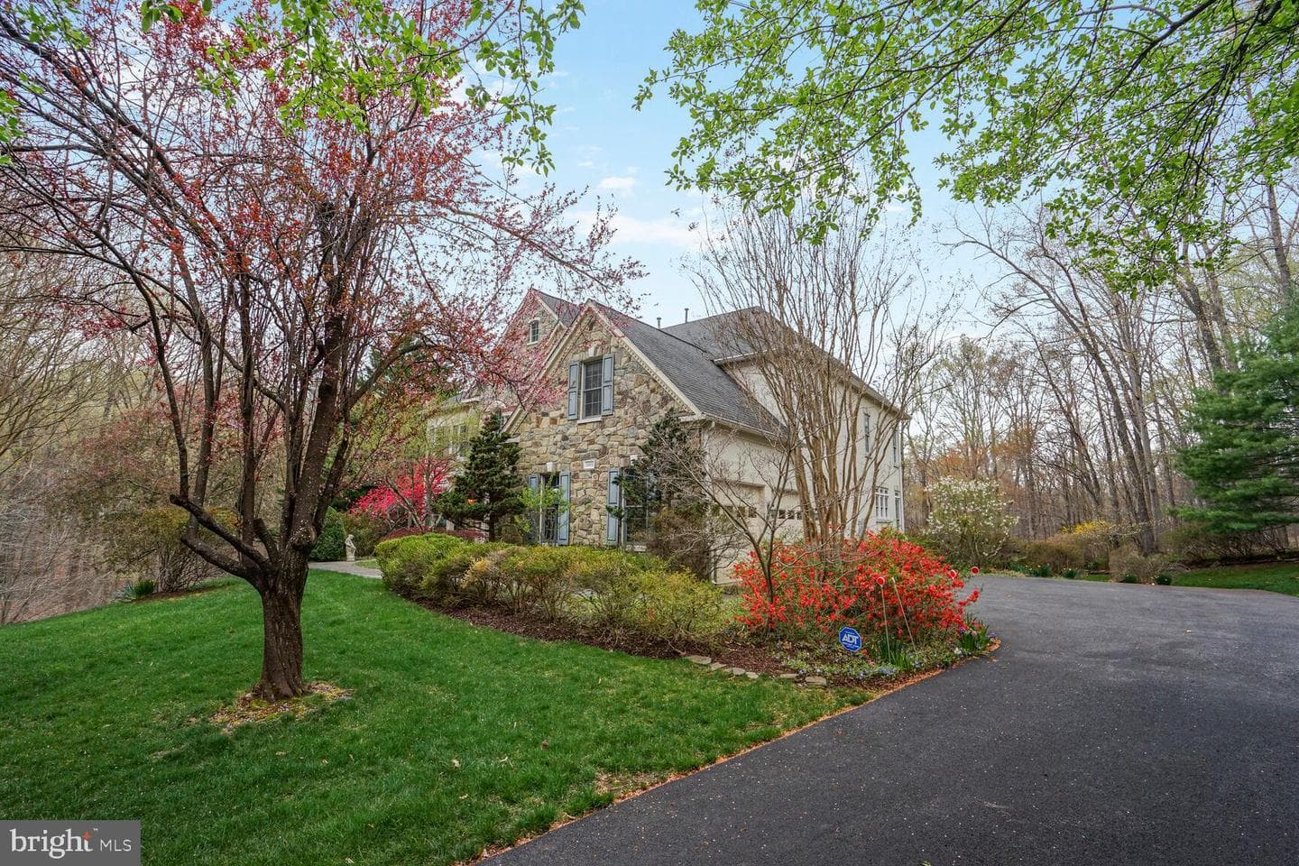 8404 Cardinal Rose Court photo 5