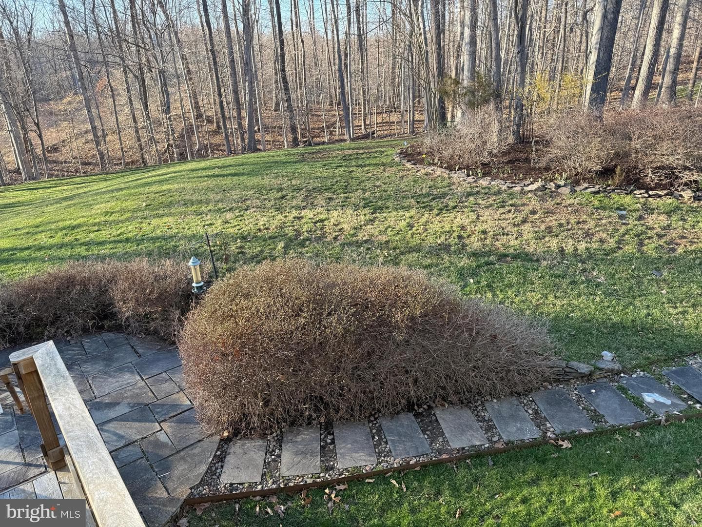 8404 Cardinal Rose Court photo 57