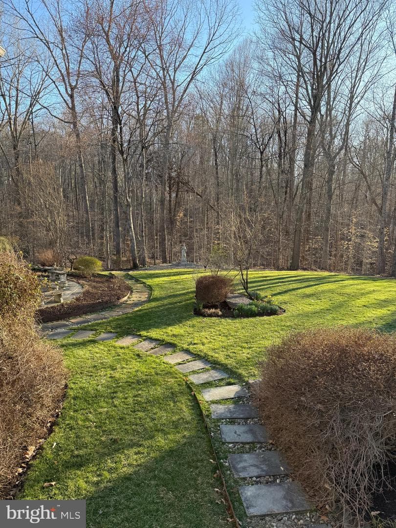 8404 Cardinal Rose Court photo 59