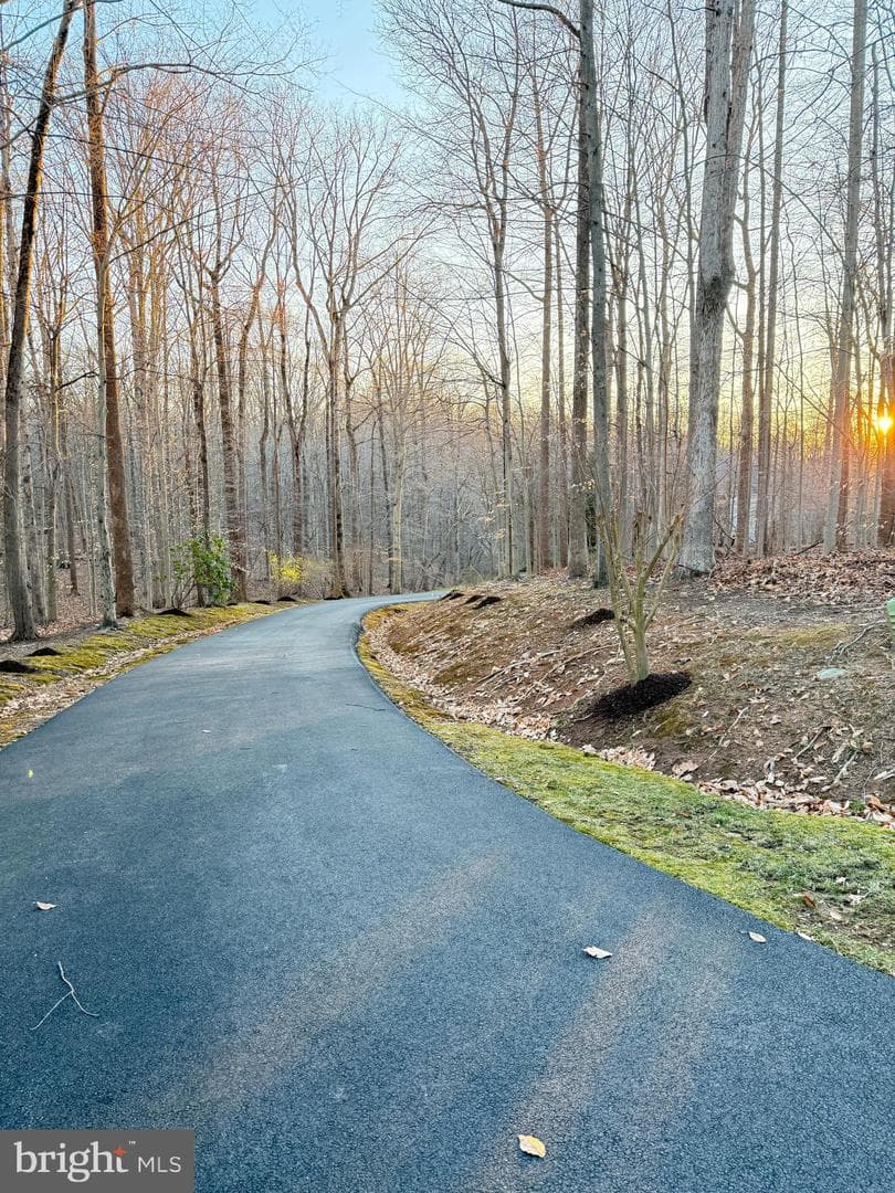 8404 Cardinal Rose Court photo 75