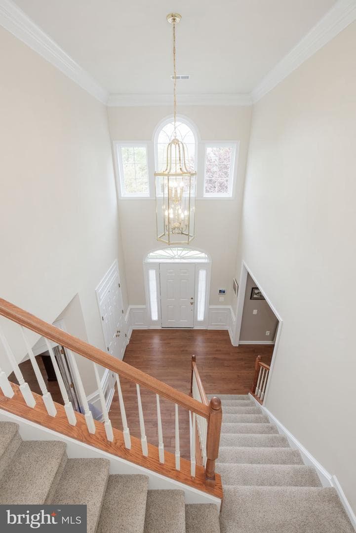 8167 American Holly Road photo 4