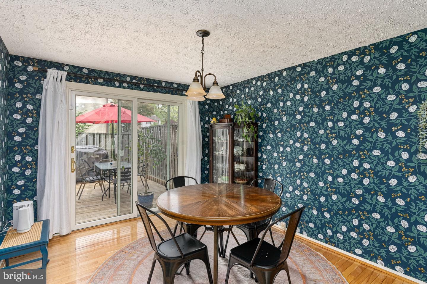 11537 Ivy Bush Court photo 11