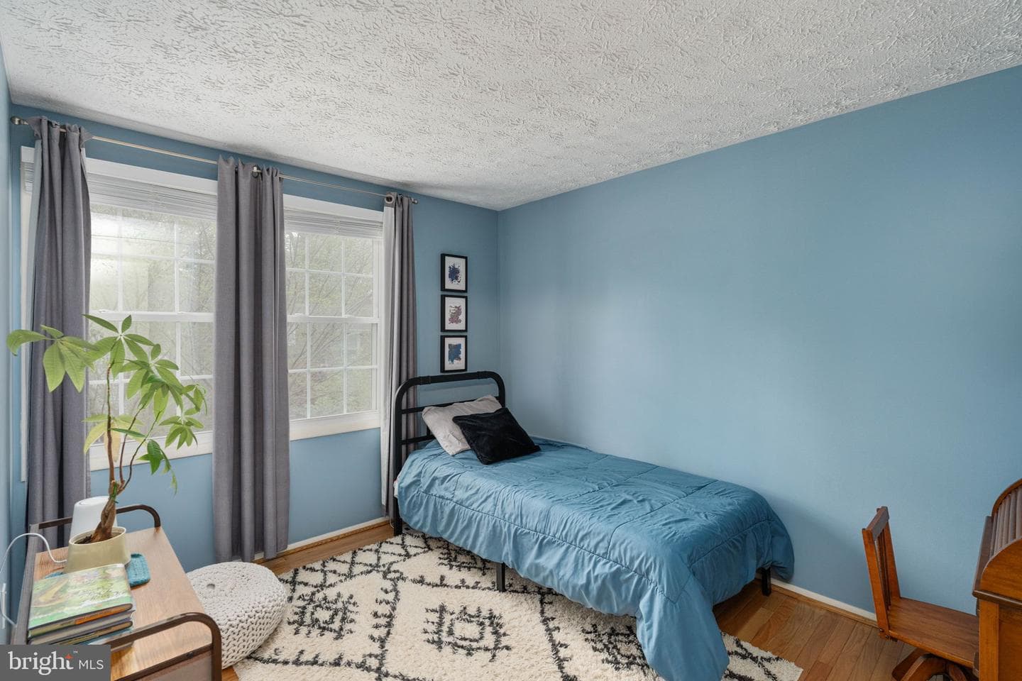 11537 Ivy Bush Court photo 25