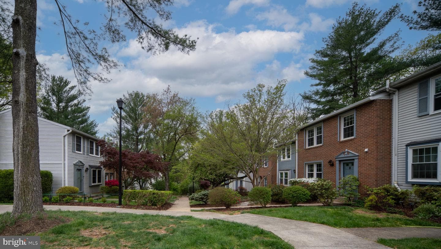 11537 Ivy Bush Court photo 3