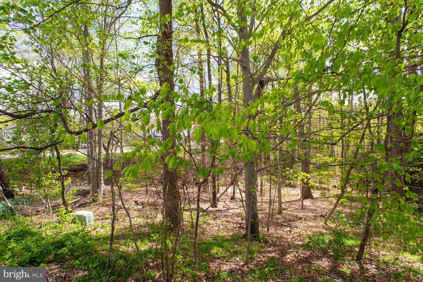 8062 Steeple Chase Court photo 8